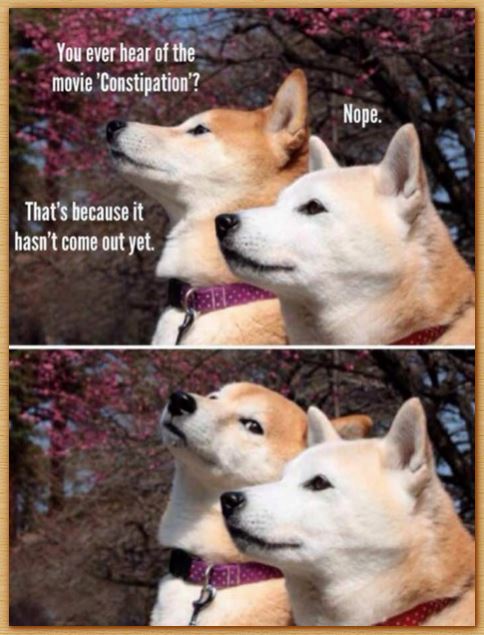 Name:  funnehdoggeh.JPG
Views: 1417
Size:  61.7 KB