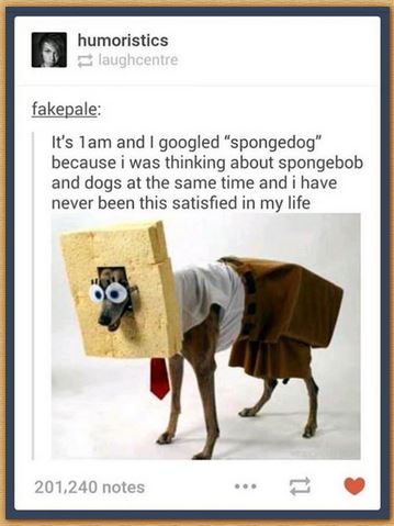 Name:  spongedog.JPG
Views: 294
Size:  30.6 KB