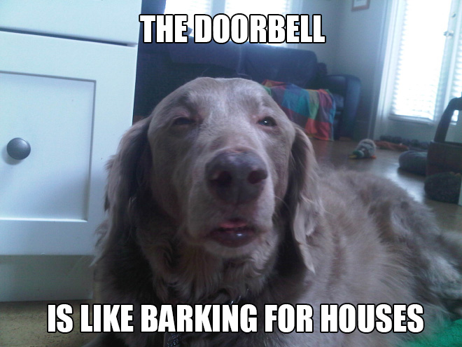 Name:  doorbelldog.jpg
Views: 762
Size:  100.0 KB