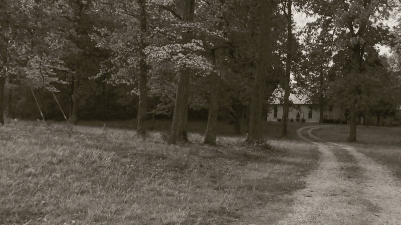 Name:  church4.jpg
Views: 551
Size:  143.5 KB
