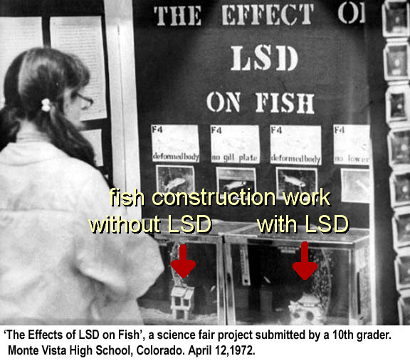 Name:  fishLSD.jpg
Views: 921
Size:  129.6 KB