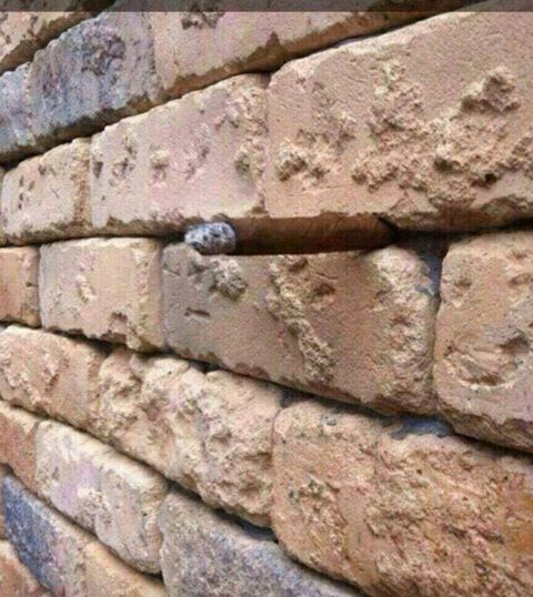 Name:  doyouseeit.jpg
Views: 824
Size:  58.6 KB