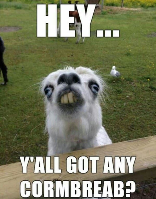 Name:  Hey275.jpg
Views: 964
Size:  67.8 KB