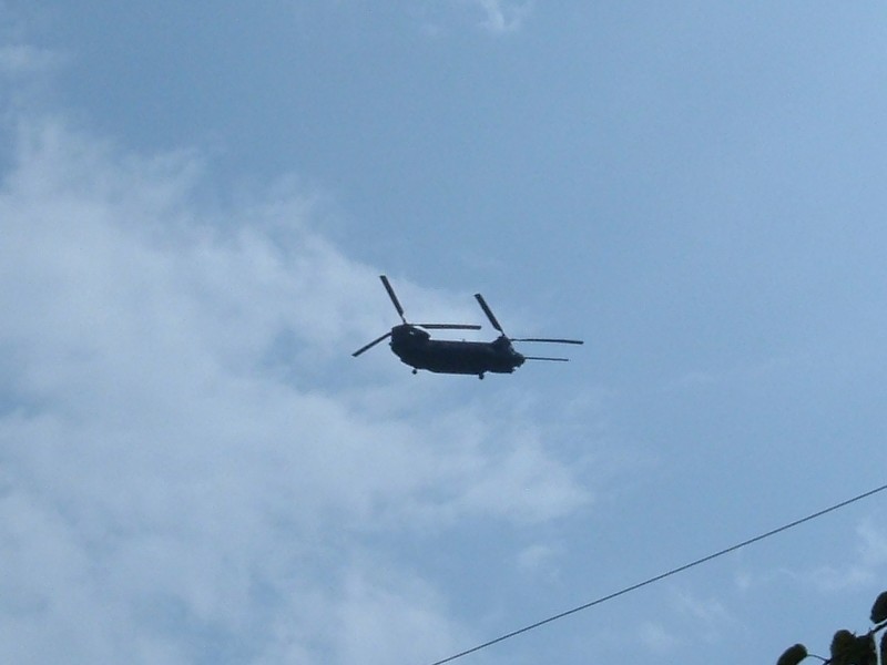 Name:  Chinook2.jpg
Views: 1105
Size:  49.9 KB