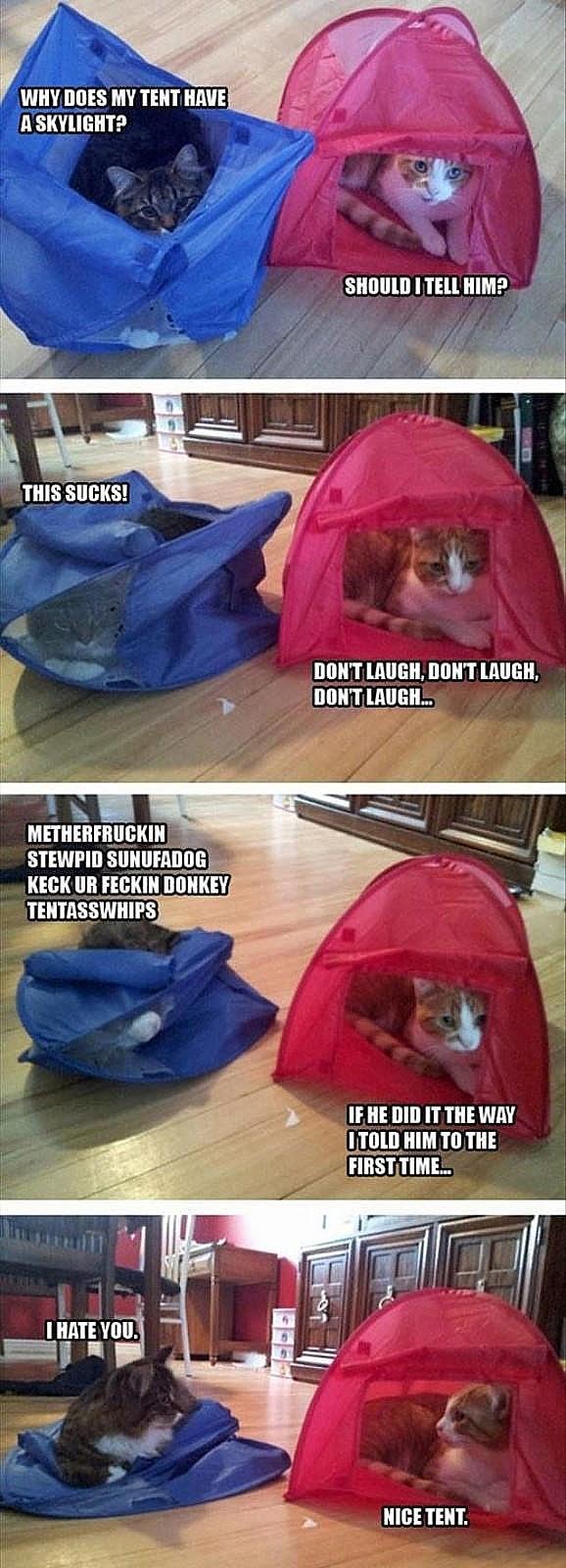 Name:  His_Tent_Sucks.jpg
Views: 340
Size:  145.8 KB