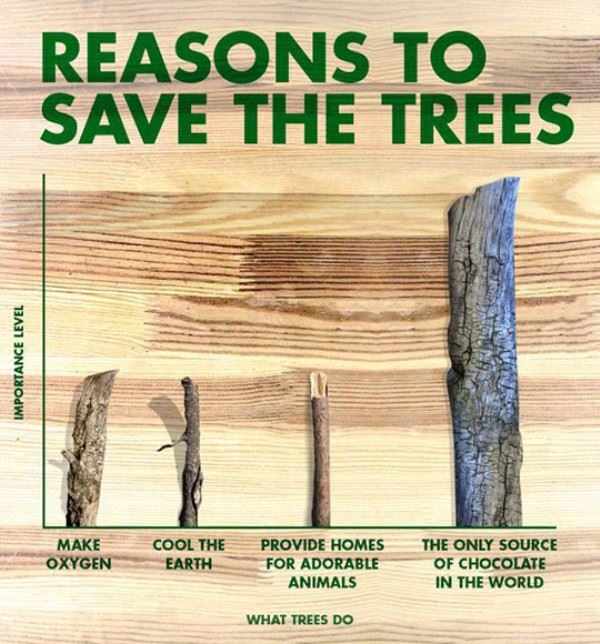 Name:  Reasons_To_Save_The_Trees.jpg
Views: 278
Size:  78.6 KB
