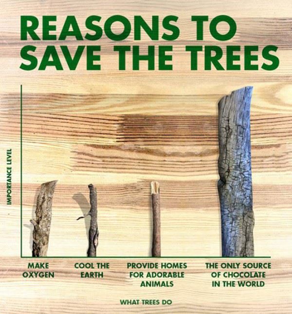 Name:  Reasons_To_Save_The_Trees.jpg
Views: 1179
Size:  78.6 KB