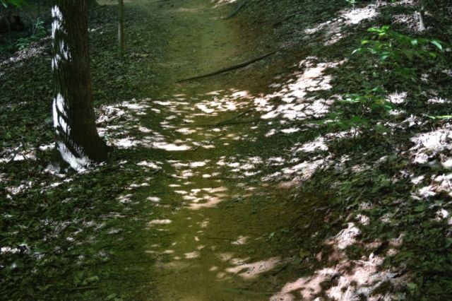 Name:  Shadows.JPG
Views: 470
Size:  138.3 KB