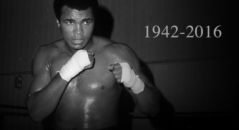 Name:  The Greatest.jpg
Views: 715
Size:  37.2 KB