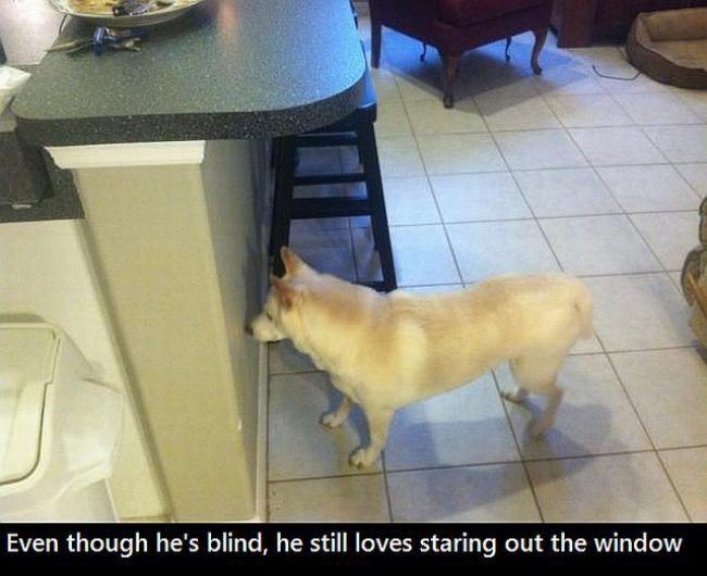 Name:  Still_Enjoys_The_Little_Things.jpg
Views: 979
Size:  50.3 KB