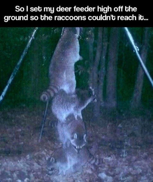 Name:  teamwork.JPG
Views: 196
Size:  67.6 KB