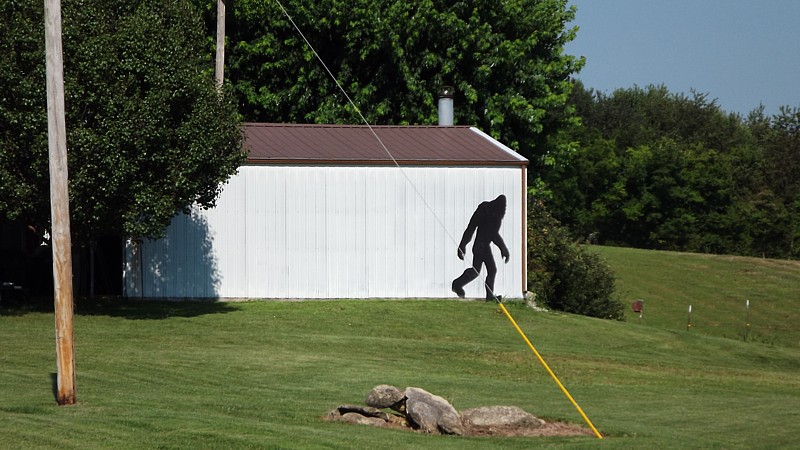 Name:  Bigfoot.jpg
Views: 488
Size:  149.3 KB