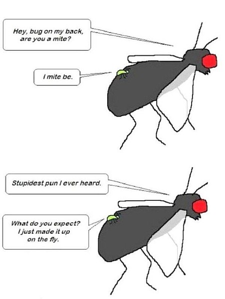 Name:  Mite_Be.jpg
Views: 172
Size:  39.3 KB