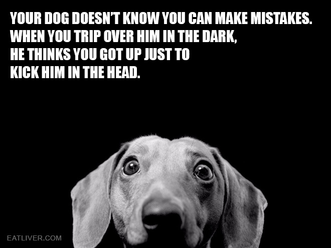 Name:  dog.jpg
Views: 774
Size:  60.6 KB