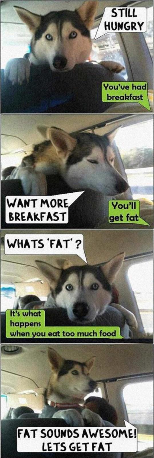 Name:  can_we_get_breakfast.jpg
Views: 458
Size:  135.7 KB