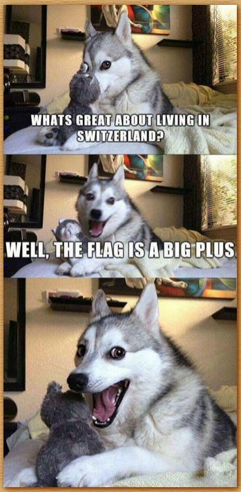 Name:  dogjoke.JPG
Views: 431
Size:  64.4 KB