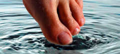 Name:  toe pic.jpg
Views: 306
Size:  9.9 KB