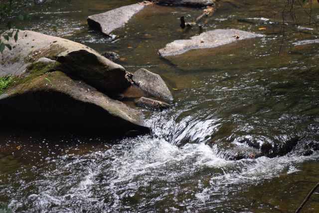 Name:  Water.JPG
Views: 484
Size:  141.5 KB