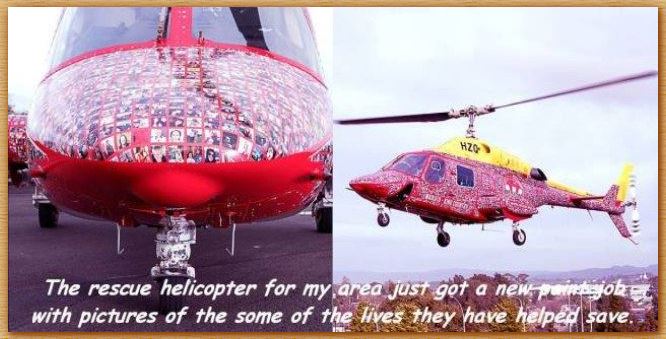 Name:  medchopper.JPG
Views: 611
Size:  58.6 KB