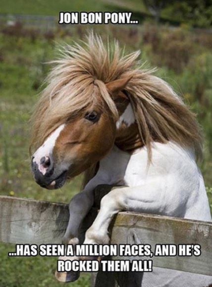 Name:  jonbonpony.JPG
Views: 564
Size:  51.6 KB
