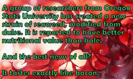 Name:  baconweed.JPG
Views: 1127
Size:  41.1 KB