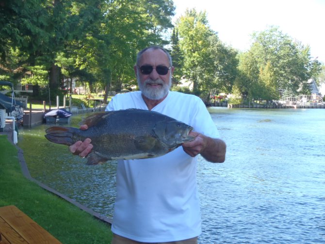 Name:  smallie.jpg
Views: 920
Size:  89.1 KB