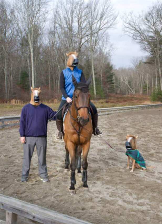 Name:  horsedog.jpg
Views: 338
Size:  53.1 KB