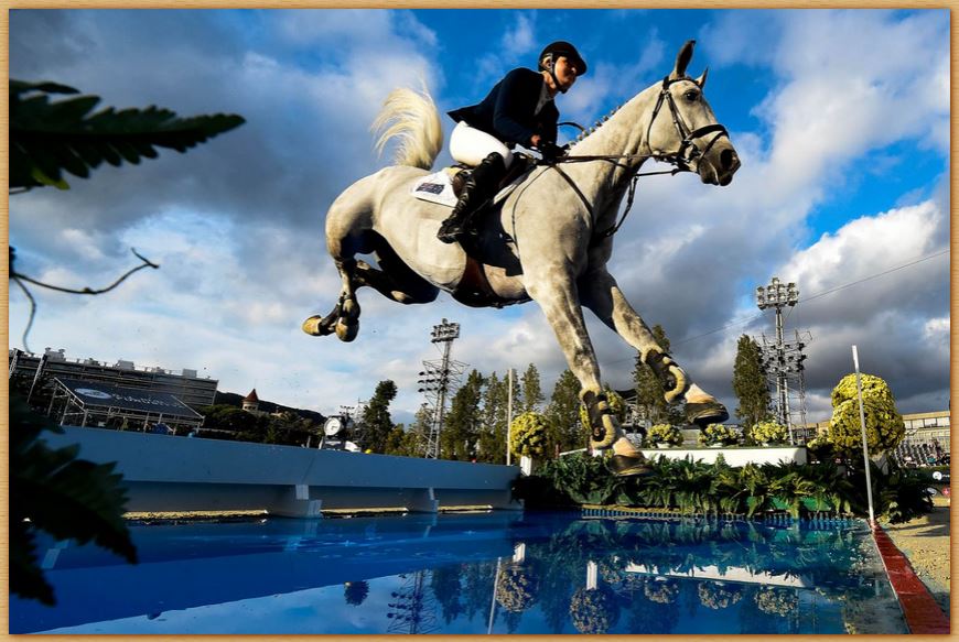 Name:  horsejump.JPG
Views: 456
Size:  103.7 KB