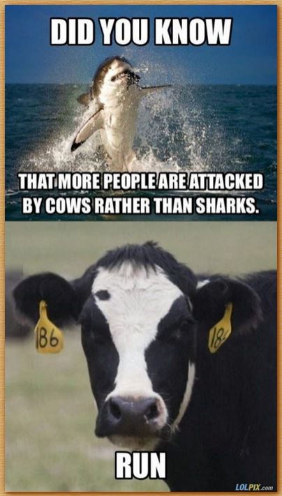 Name:  cowshark.JPG
Views: 168
Size:  55.7 KB