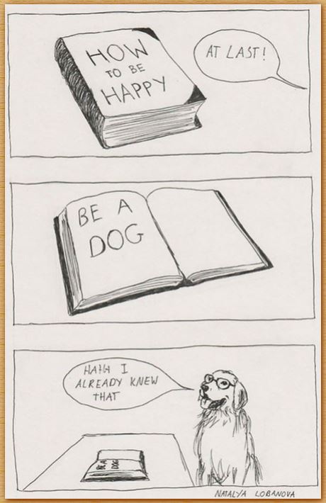 Name:  doghappy.JPG
Views: 313
Size:  51.6 KB