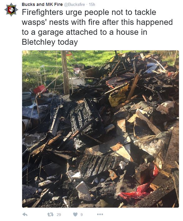 Name:  Wasps' nest.JPG
Views: 338
Size:  107.2 KB