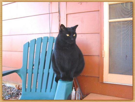 Name:  Slick.JPG
Views: 203
Size:  42.3 KB