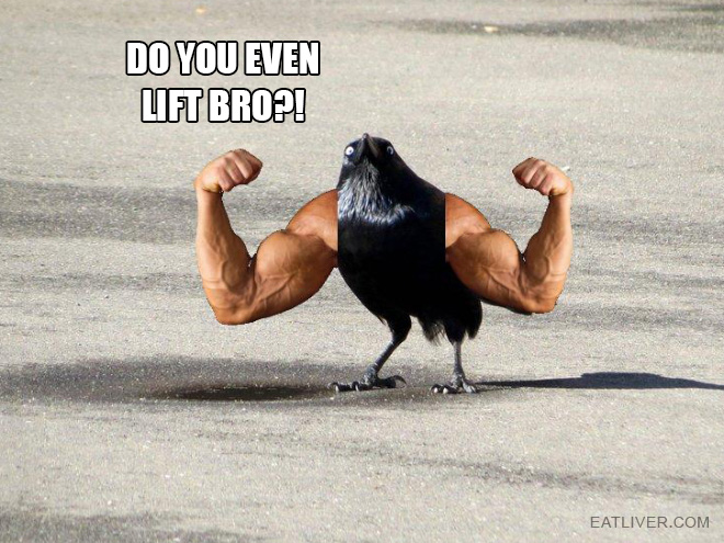 Name:  doyoulift.jpg
Views: 501
Size:  142.7 KB