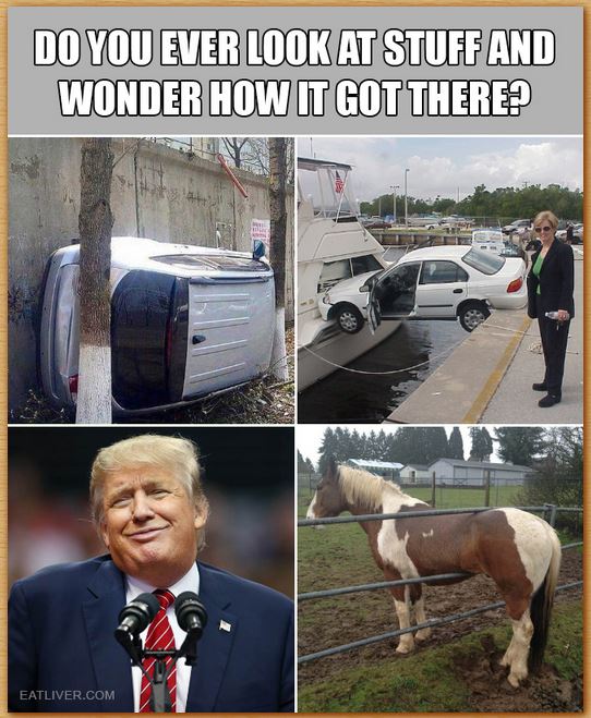 Name:  howdthatgetthere.JPG
Views: 674
Size:  89.8 KB