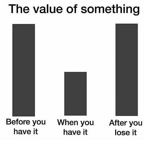 Name:  value.JPG
Views: 1681
Size:  29.3 KB