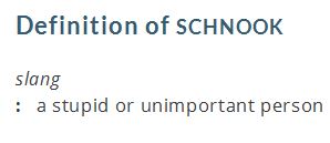 Name:  schnook.JPG
Views: 560
Size:  13.4 KB