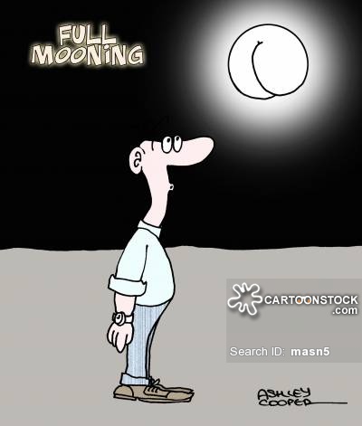 Name:  fullmoon.jpg
Views: 857
Size:  26.2 KB