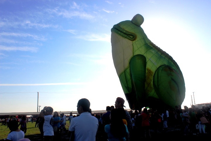 Name:  Toad Balloon.jpg
Views: 226
Size:  111.8 KB