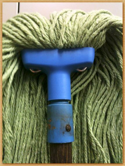 Name:  mopface.JPG
Views: 444
Size:  56.0 KB