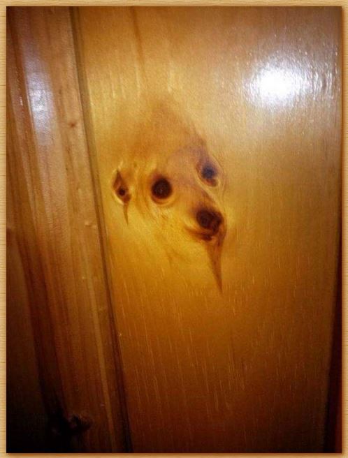 Name:  woodgraindog.JPG
Views: 436
Size:  48.9 KB