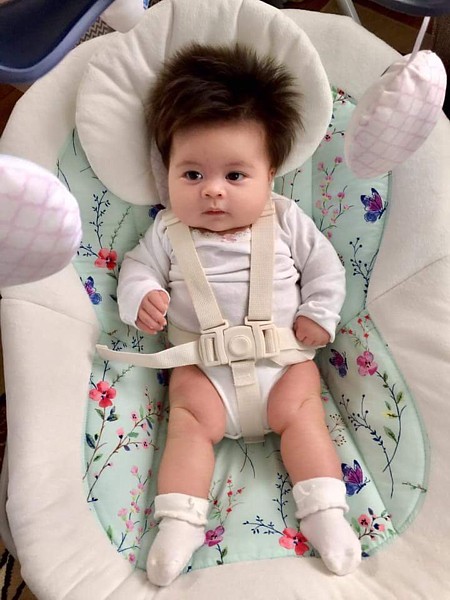 Name:  hairybaby.jpg
Views: 745
Size:  70.4 KB
