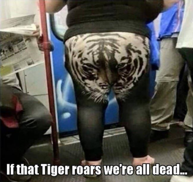 Name:  The_Tiger_Roar.jpg
Views: 379
Size:  56.0 KB