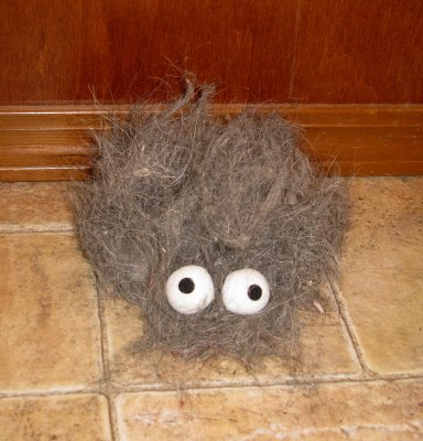Name:  bigeyes.jpg
Views: 271
Size:  36.3 KB