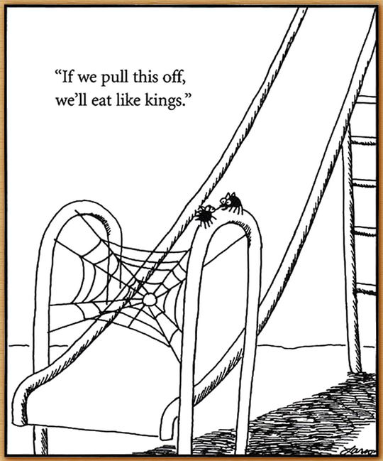 Name:  spiders.JPG
Views: 593
Size:  70.0 KB