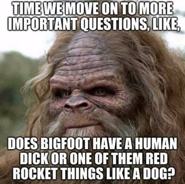 Name:  Important_Questions.jpg
Views: 551
Size:  67.9 KB