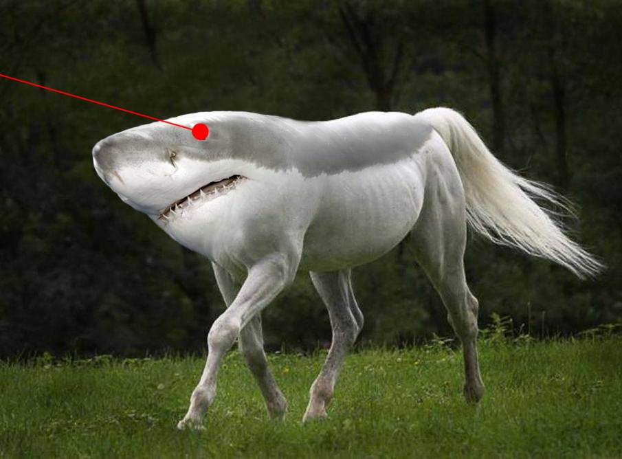 Name:  17-Shorse.jpg
Views: 285
Size:  88.6 KB