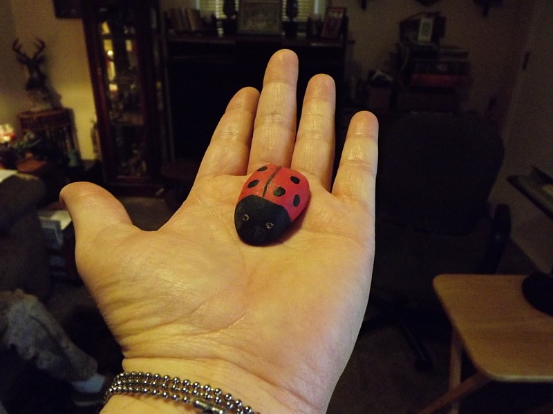 Name:  Momdigr's Ladybug.jpg
Views: 425
Size:  117.6 KB