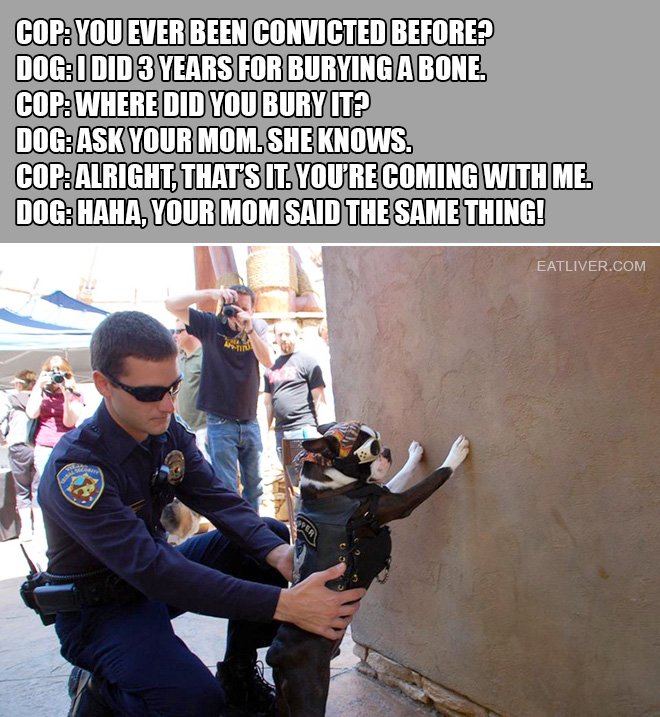 Name:  dog-criminal.jpg
Views: 807
Size:  113.8 KB
