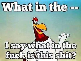 Name:  What In The.jpg
Views: 819
Size:  14.0 KB