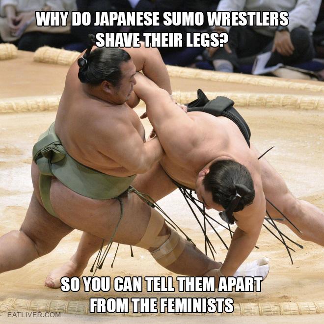 Name:  sumo.jpg
Views: 952
Size:  78.6 KB
